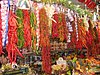 IMG_1522.JPG