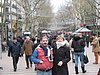 IMG_1565.JPG