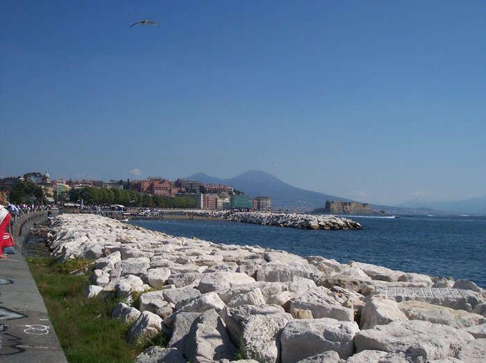 100_1630.JPG