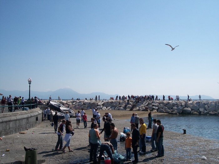 100_1635.JPG