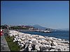 100_1630.JPG