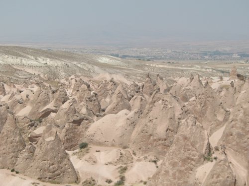 IMG_0911.JPG
