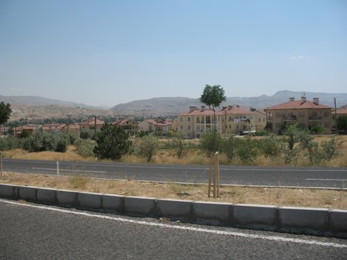IMG_0914.JPG