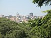 IMG_0650.JPG