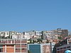 IMG_0689.JPG