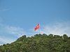 IMG_0710.JPG