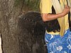 IMG_0775.JPG