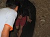 IMG_0778.JPG