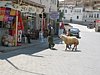 IMG_0933.JPG