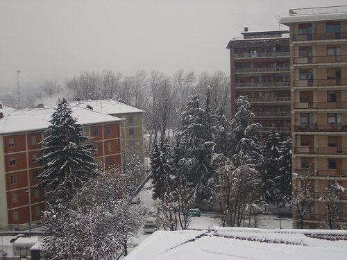 CIMG0494.JPG