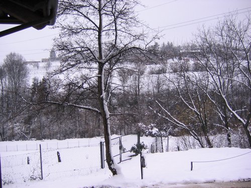 STA_0988.jpg
