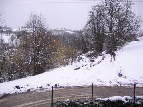 STC_0990.jpg