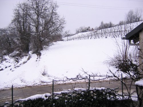 STD_0991.jpg