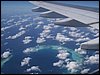 100_0232.JPG