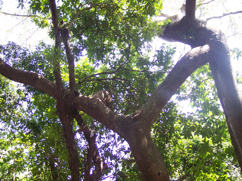 kenya0046.JPG