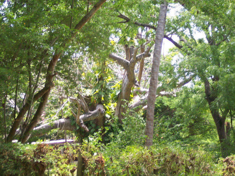 kenya0048.JPG