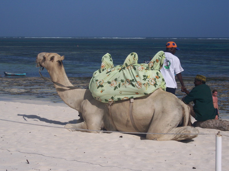 kenya0064.JPG