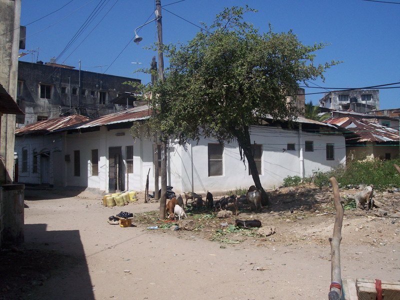 kenya0069.JPG