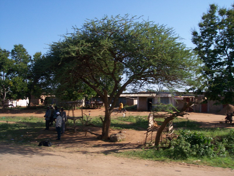 kenya0078.JPG