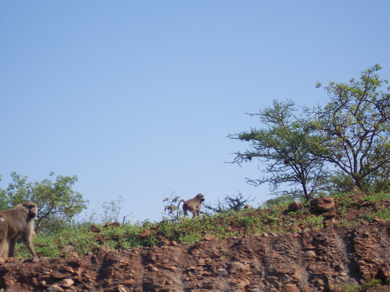 kenya0083.JPG