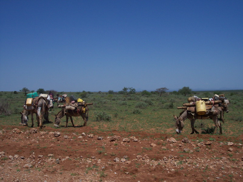 kenya0085.JPG