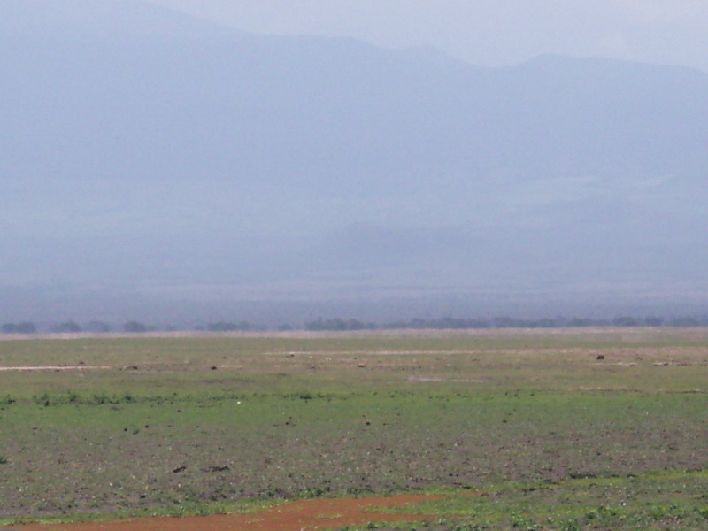 kenya0088.JPG