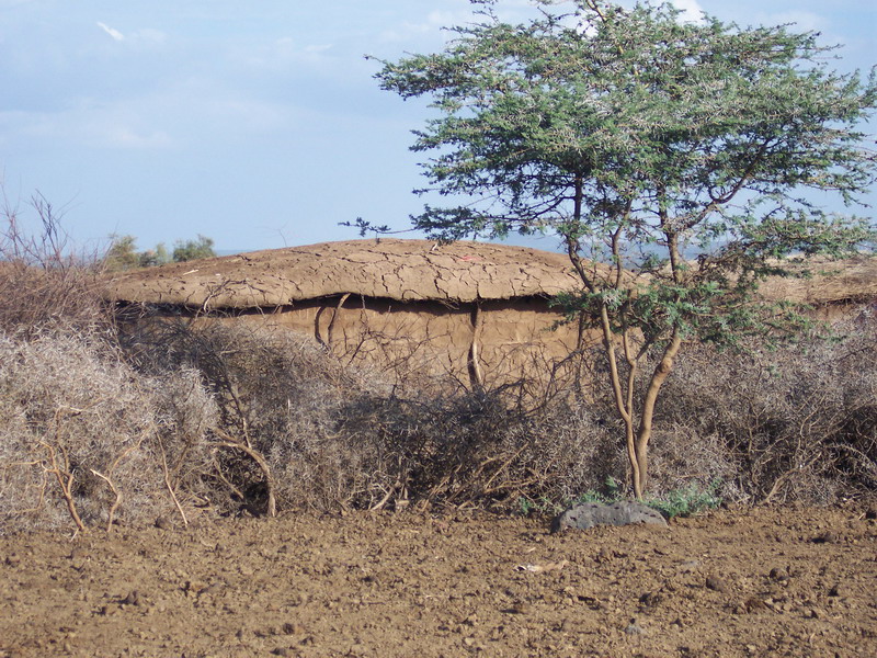 kenya0115.JPG