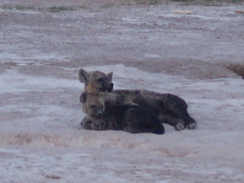 kenya0122.JPG