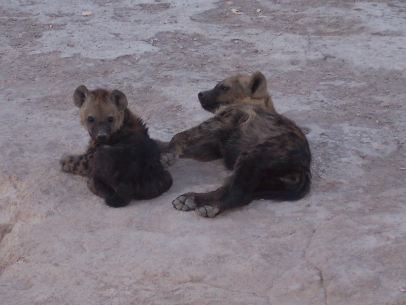 kenya0123.JPG