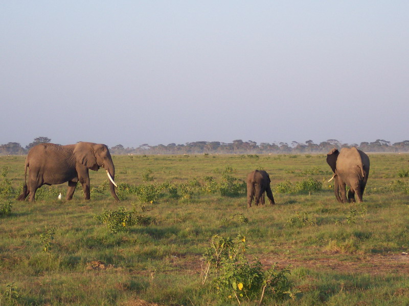 kenya0130.JPG