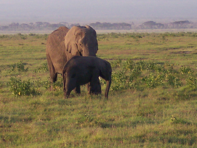 kenya0132.JPG