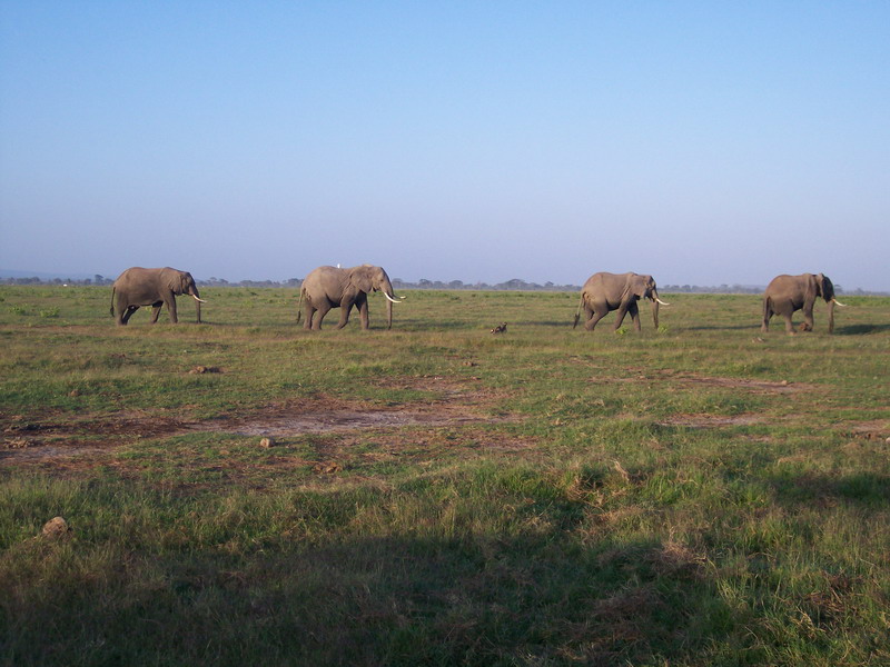 kenya0133.JPG
