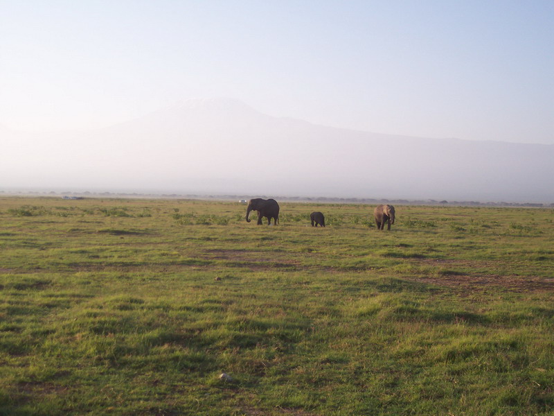 kenya0136.JPG