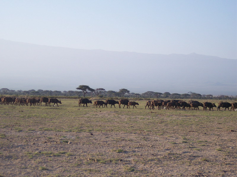 kenya0138.JPG