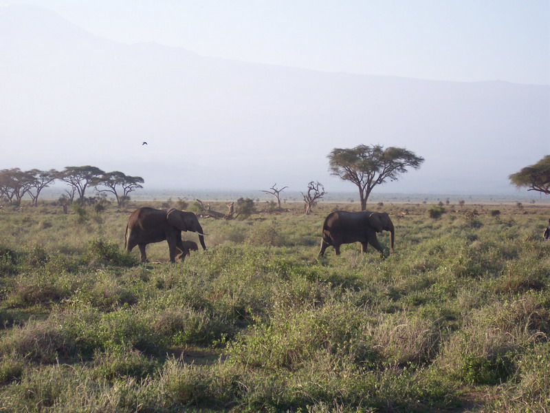 kenya0140.JPG