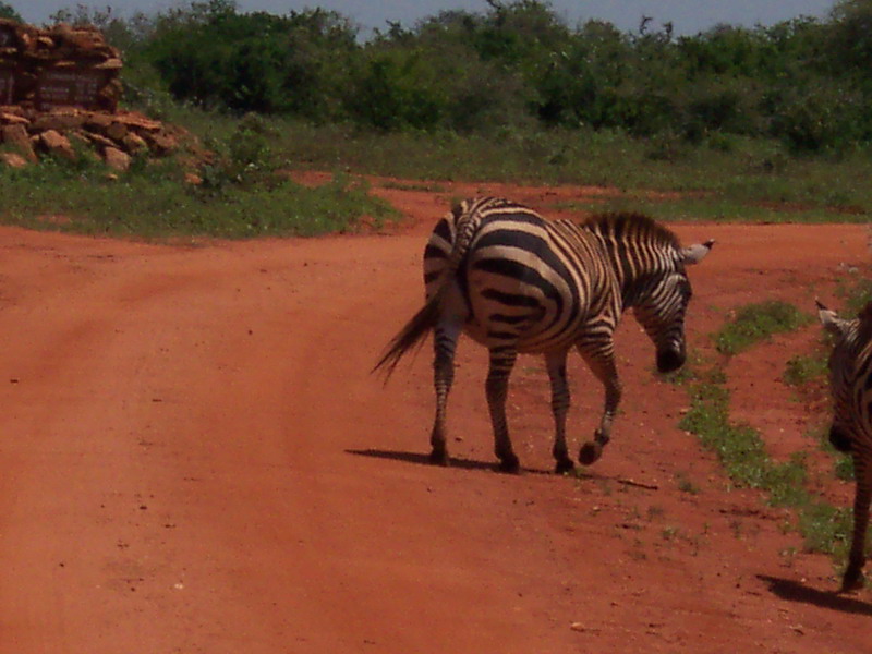 kenya0146.JPG