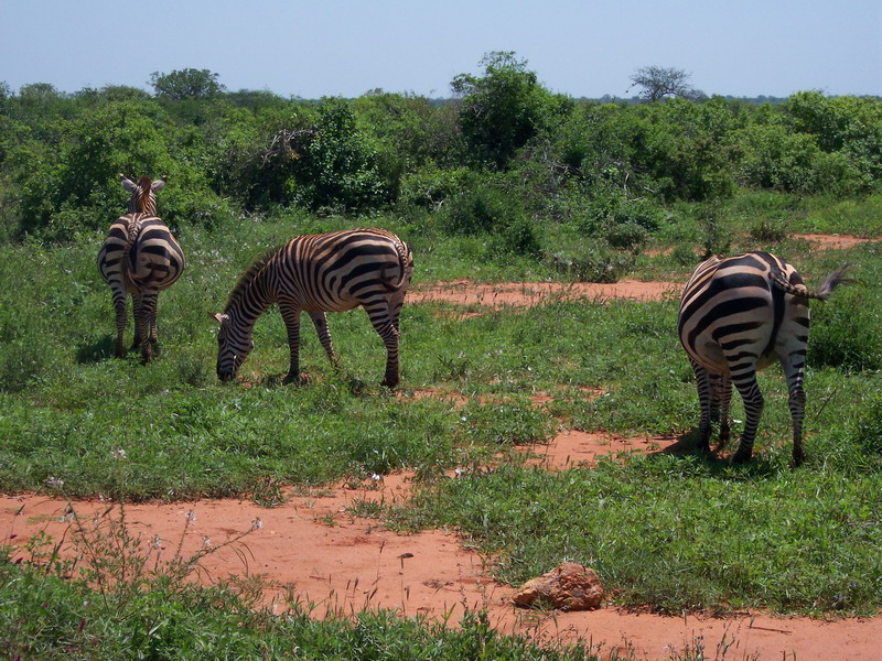 kenya0148.JPG