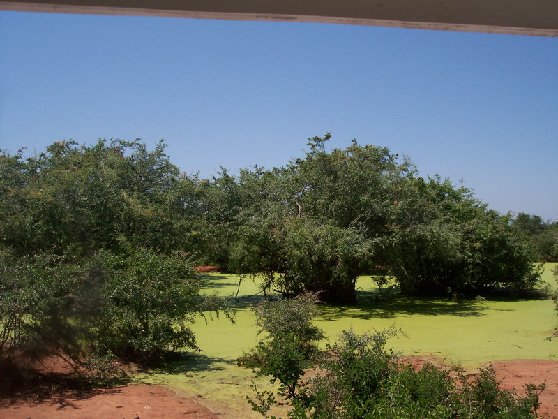 kenya0151.JPG