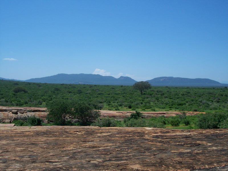 kenya0156.JPG