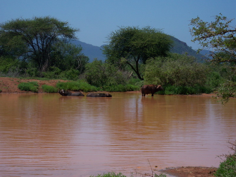 kenya0160.JPG