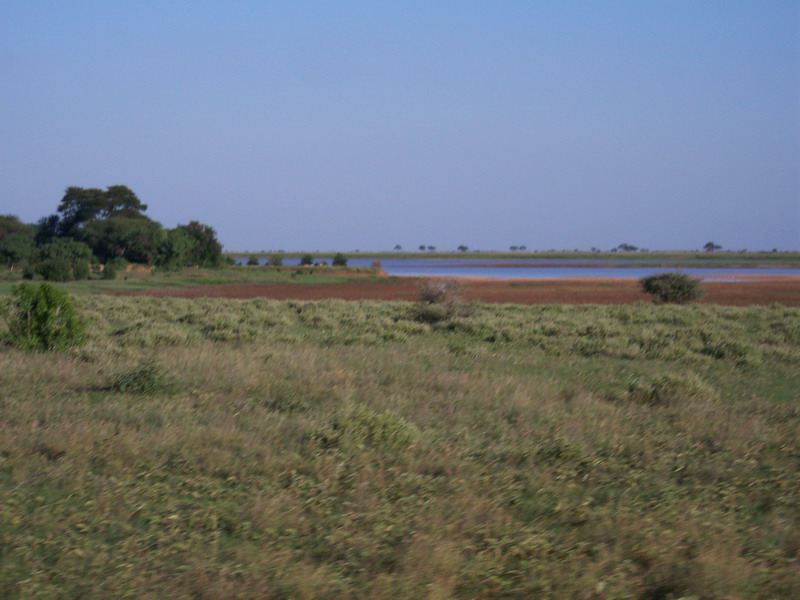 kenya0167.JPG