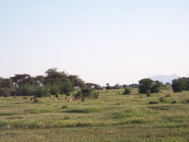 kenya0168.JPG