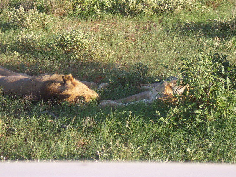 kenya0169.JPG