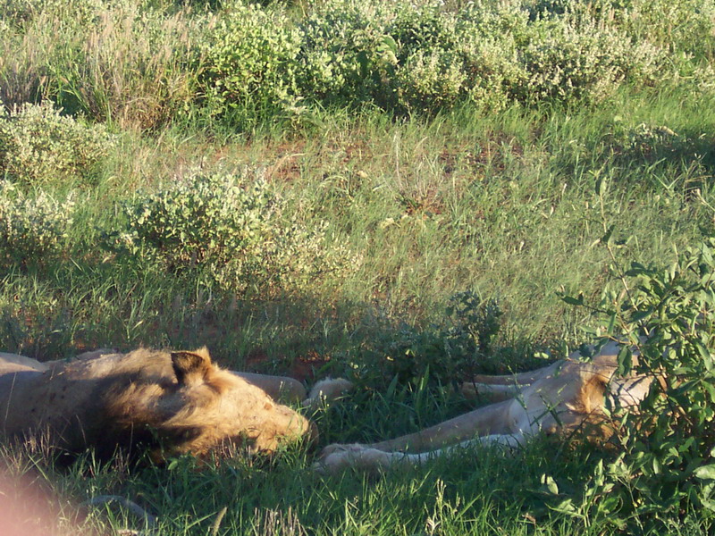 kenya0170.JPG