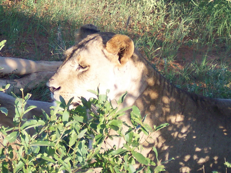 kenya0171.JPG