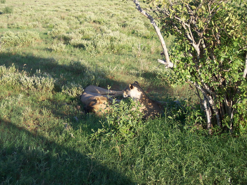 kenya0172.JPG