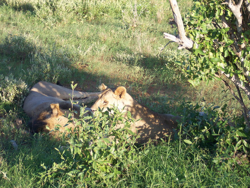 kenya0173.JPG
