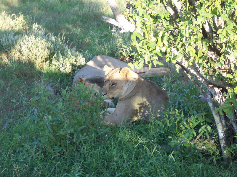 kenya0174.JPG