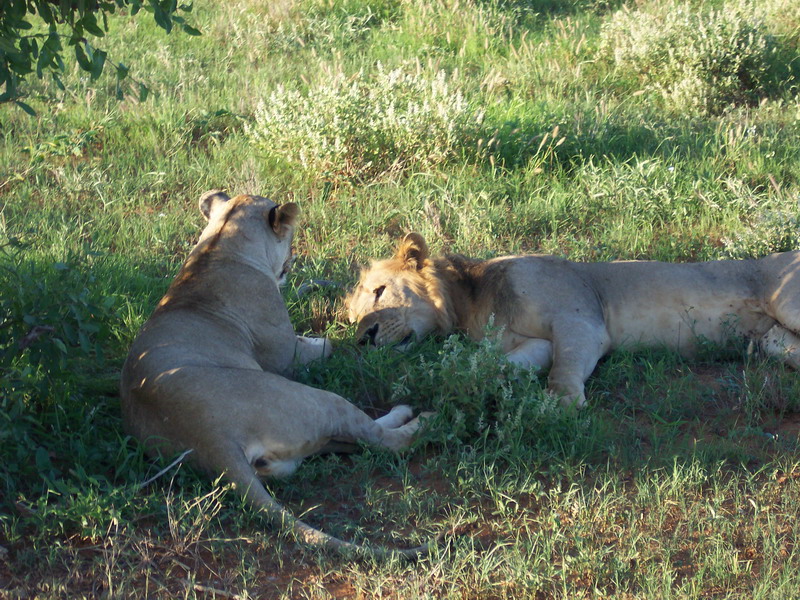 kenya0175.JPG