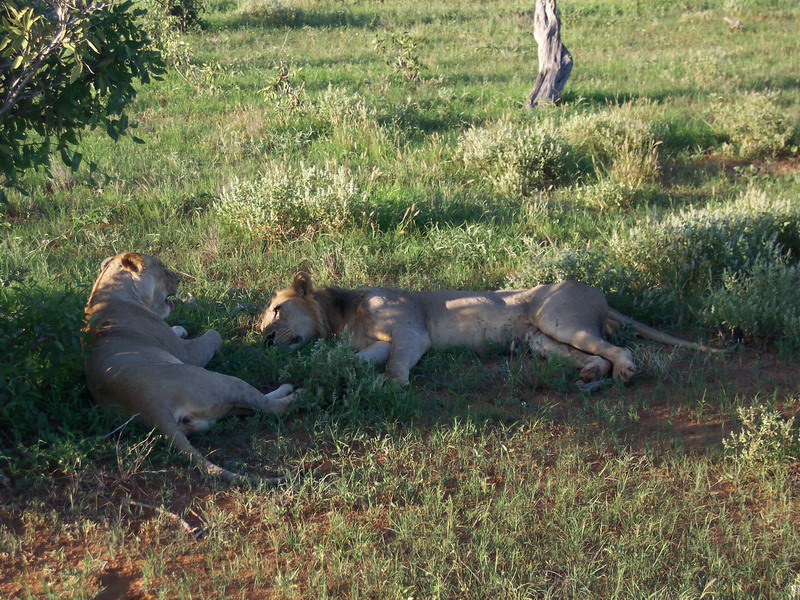 kenya0176.JPG